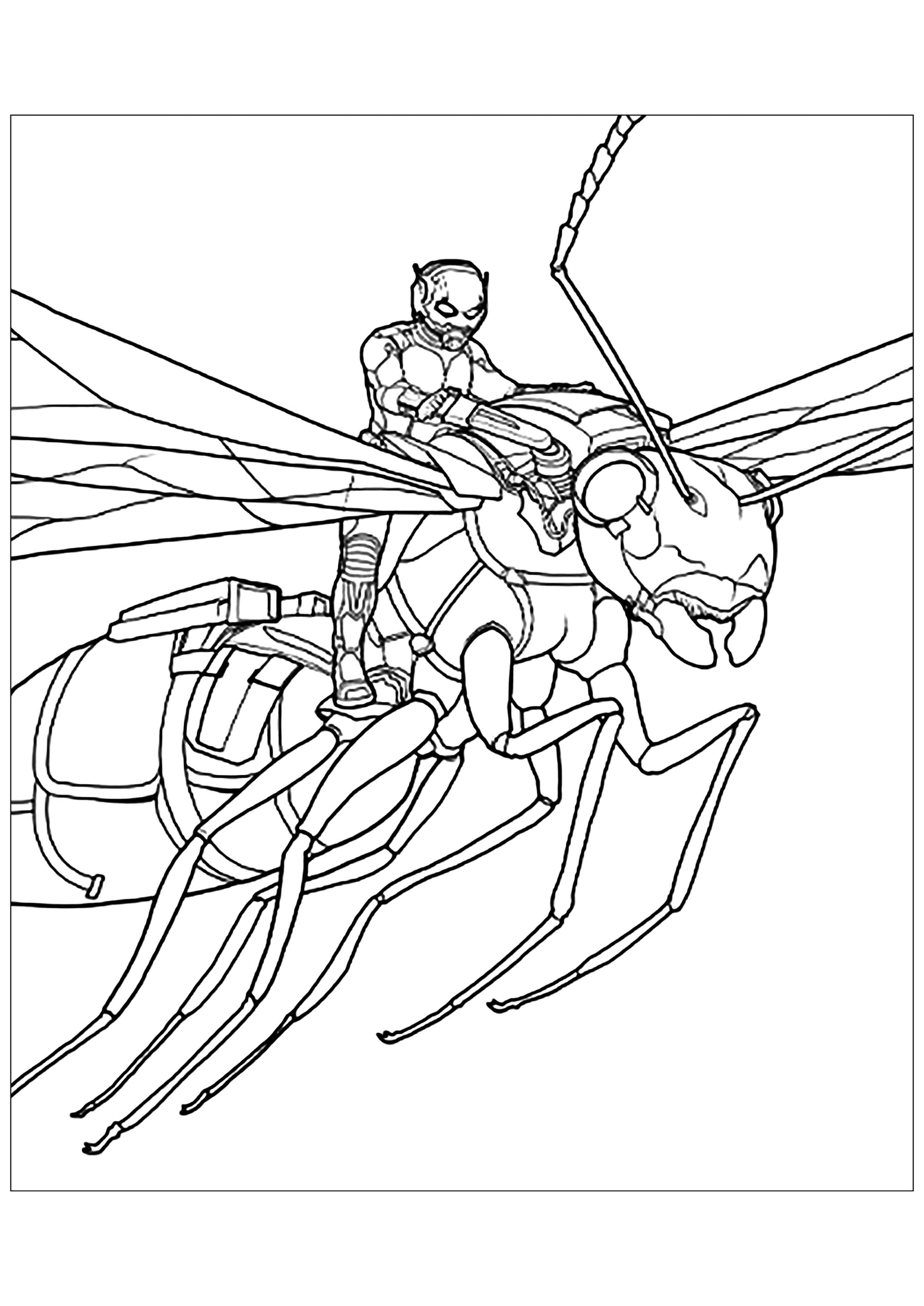 Ant-Man - Ant-Man Kids Coloring Pages