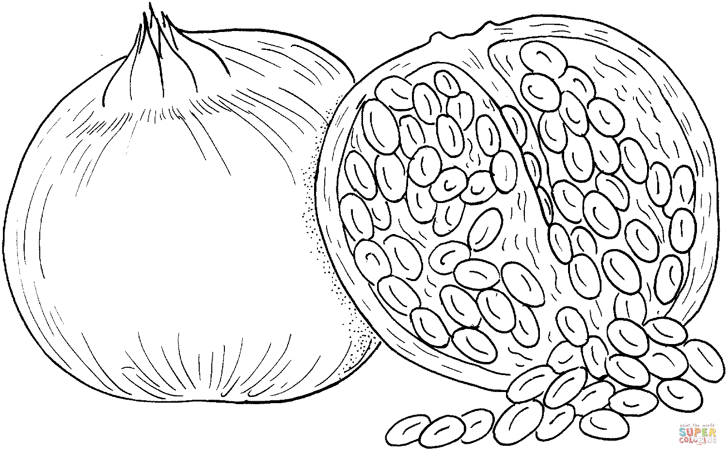 Pomegranate 2 coloring page | Free Printable Coloring Pages