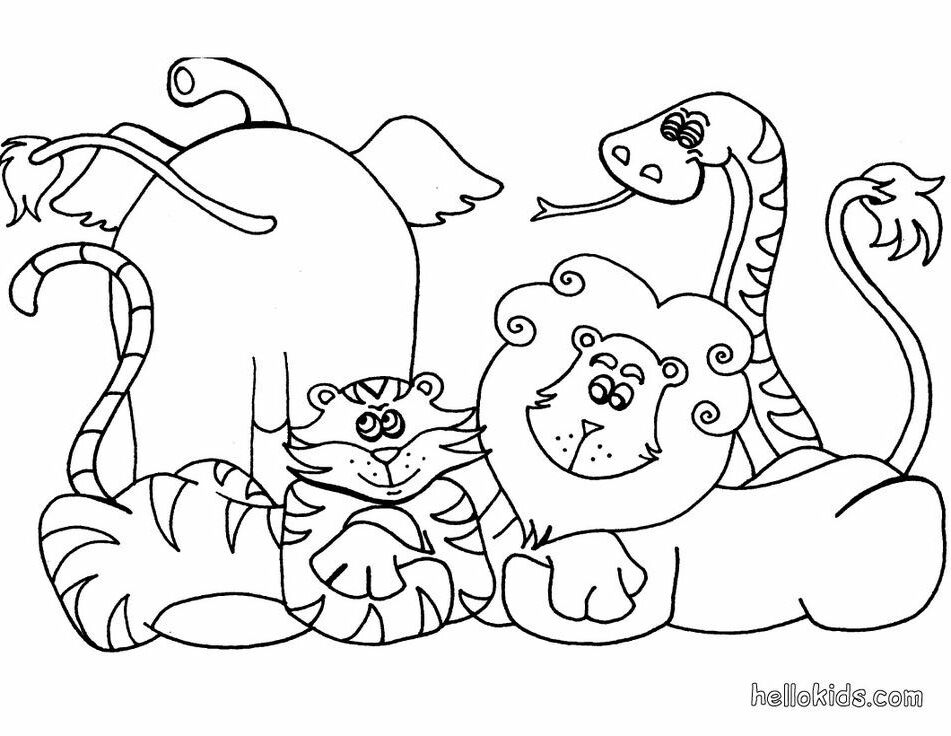 the big five | African Animals, Coloring Pages and ...
