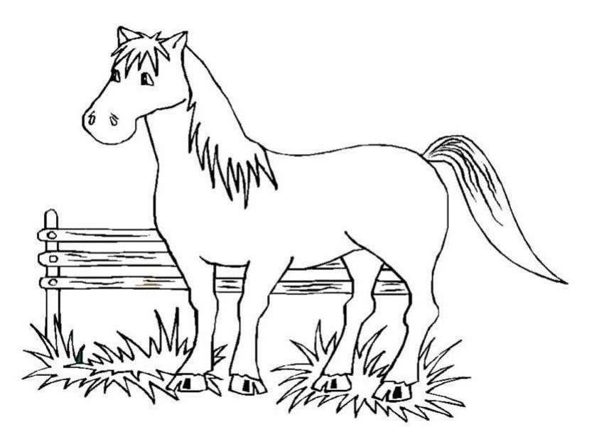Printable Horse Coloring Pages Kids - Colorine.net | #21456