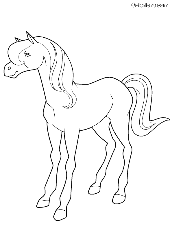 Horseland coloring pages to download and print for free
