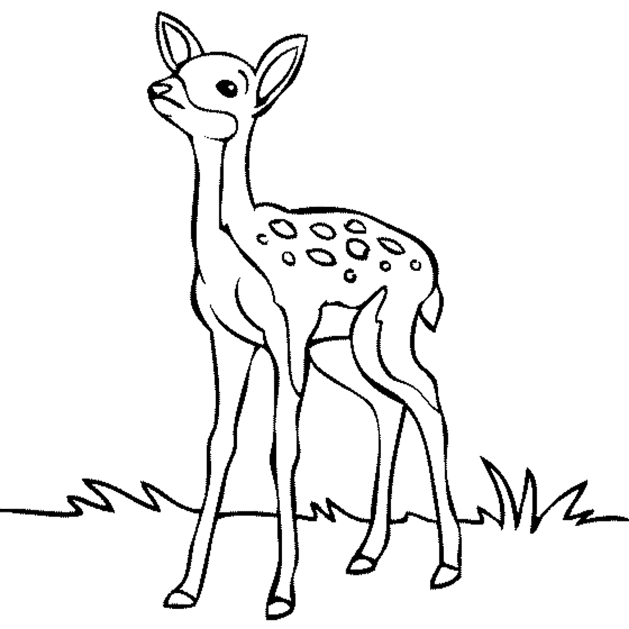 Baby Deer Coloring Page Coloring Home