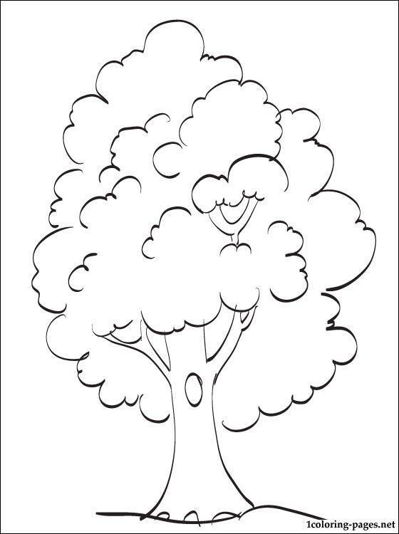 Tree coloring page | Coloring pages