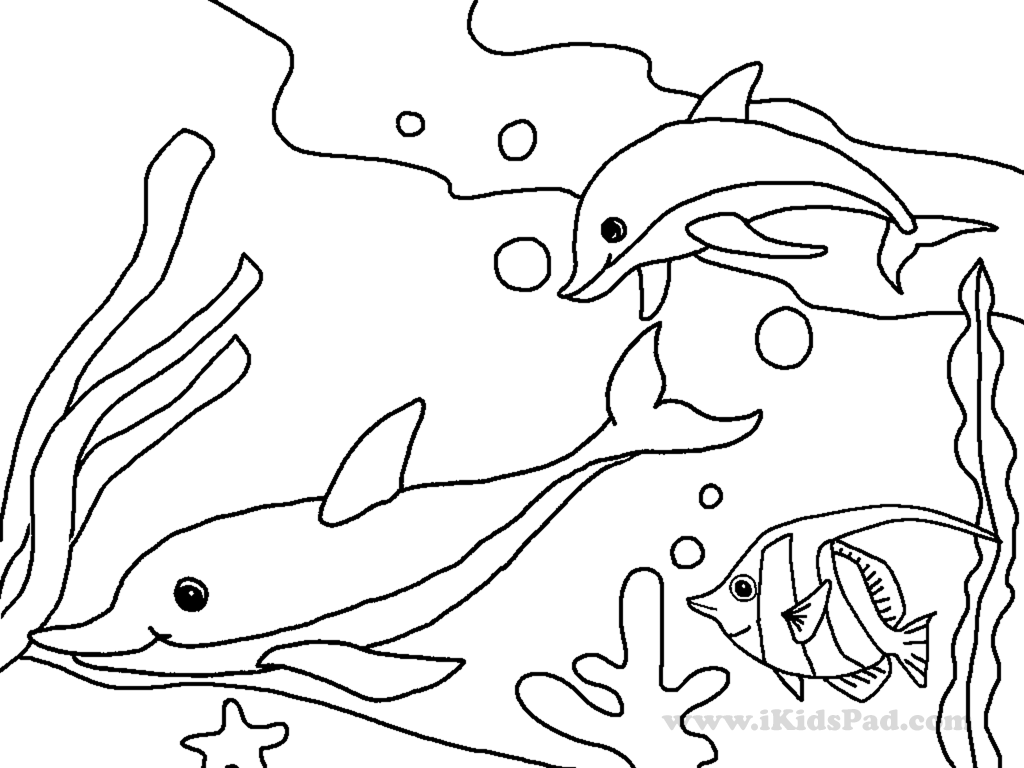 Cartoon Clown Fish Coloring Page - Coloring Pages For All Ages