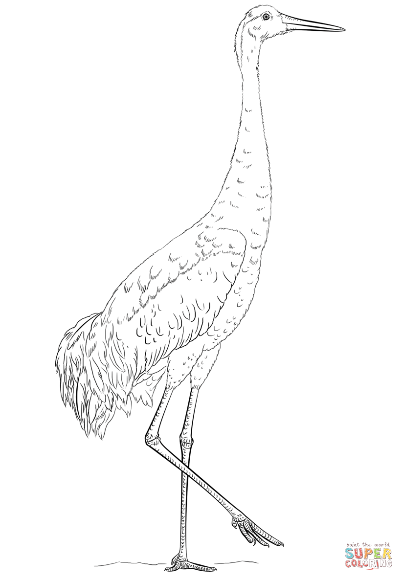 Crane Coloring Page - Coloring Home