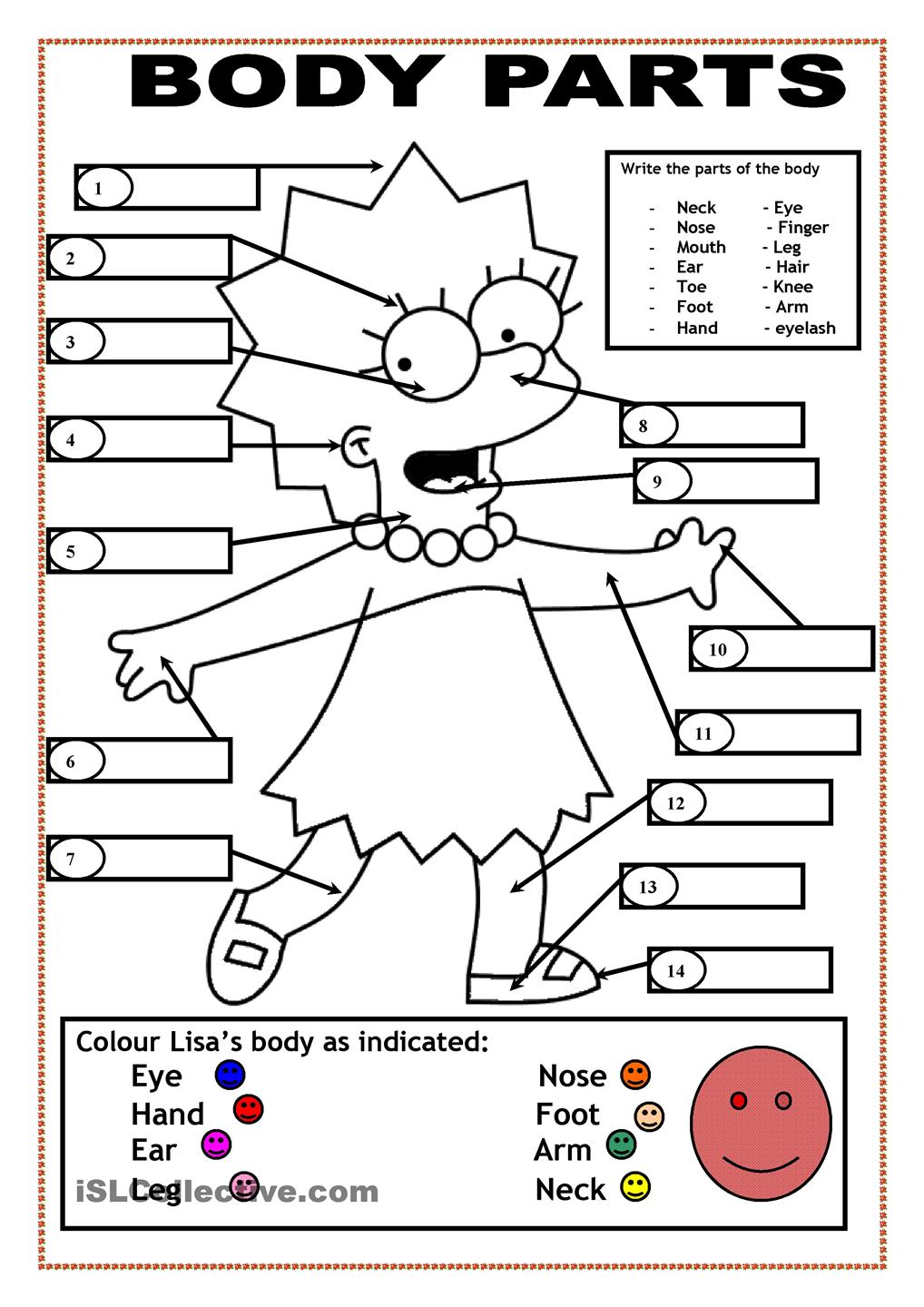 Body Parts Coloring Page For Kids