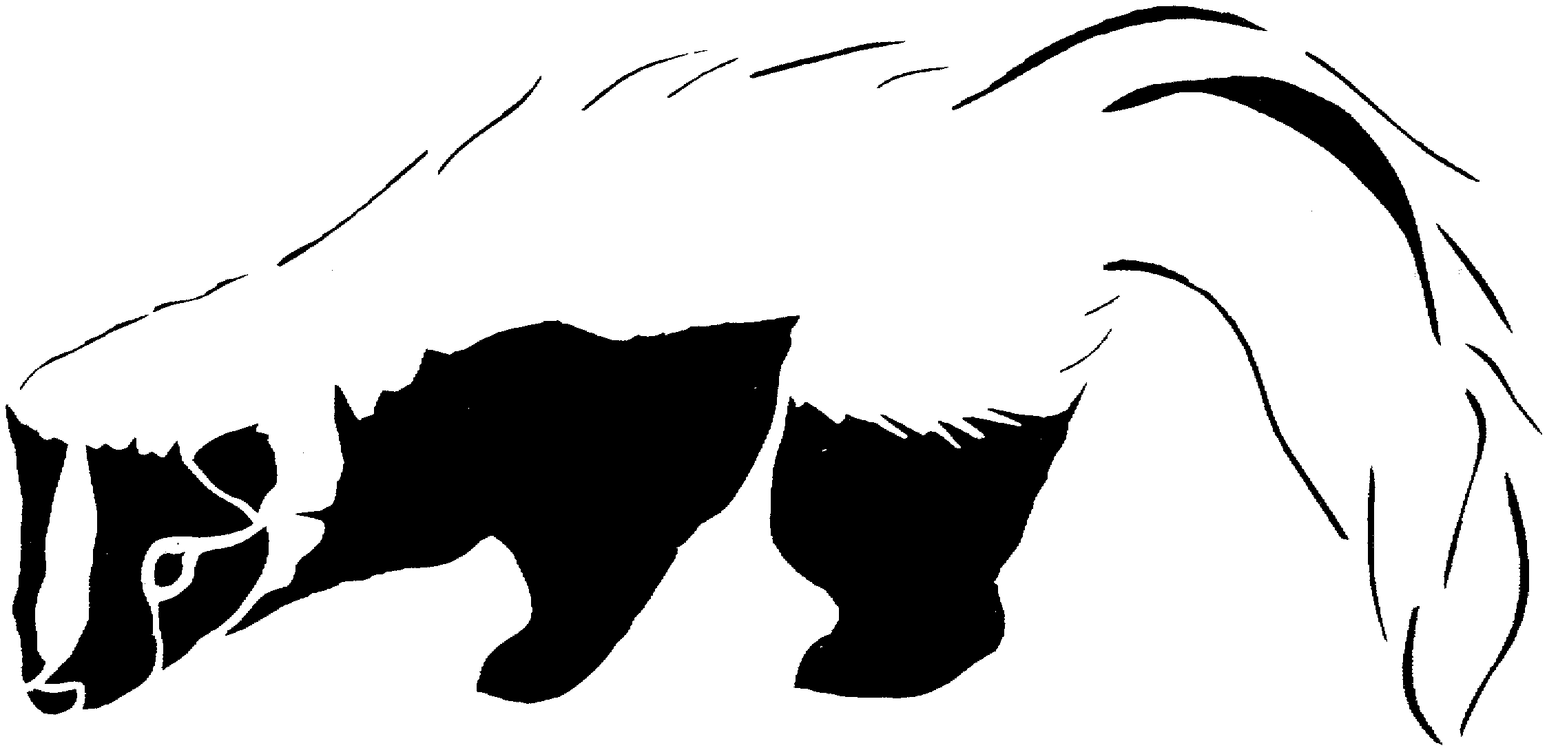 Skunk Coloring Pages (20 Pictures) - Colorine.net | 1599
