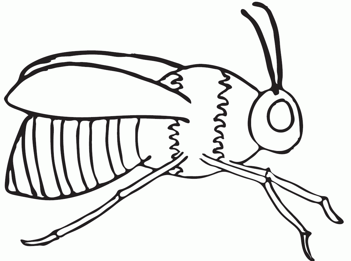 Bumblebee Coloring Pages (19 Pictures) - Colorine.net | 5843