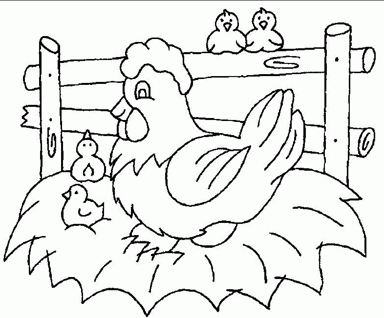 Chickens coloring page 4 - Coloring PagesColoring Pages
