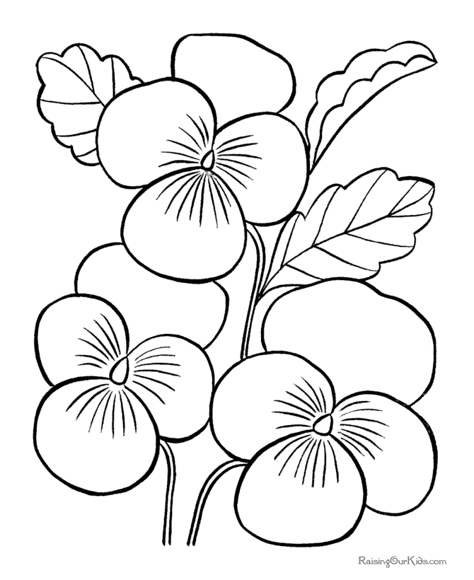 Free Coloring Flowers - Coloring Home