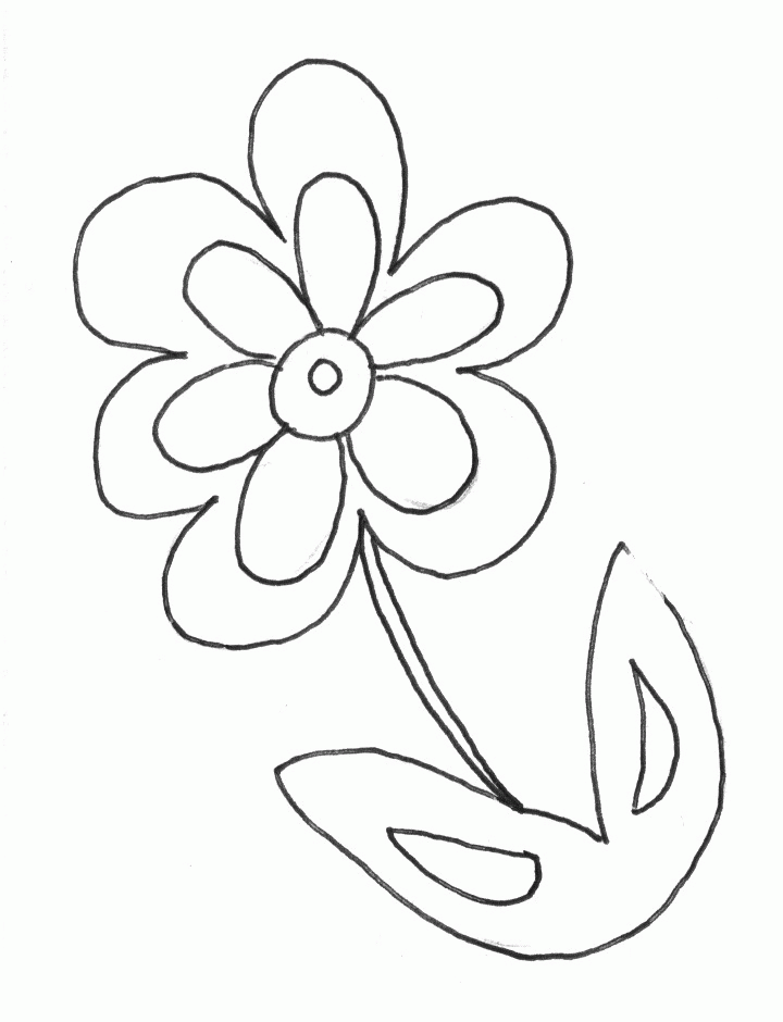 Daisy Flower Coloring Page – 600×620 Coloring picture animal and 