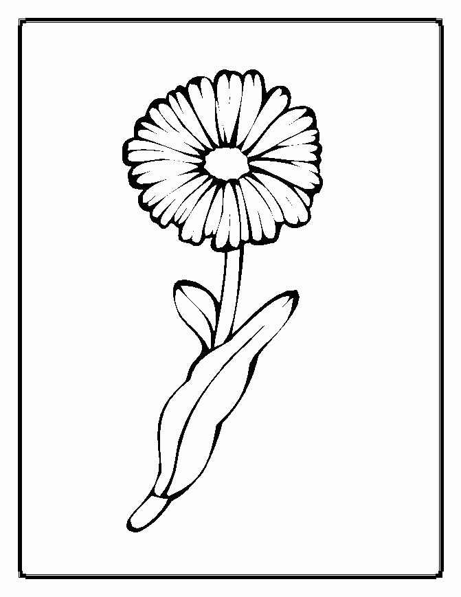 Daisy Flower Coloring Pages - Free Printable Coloring Pages | Free 