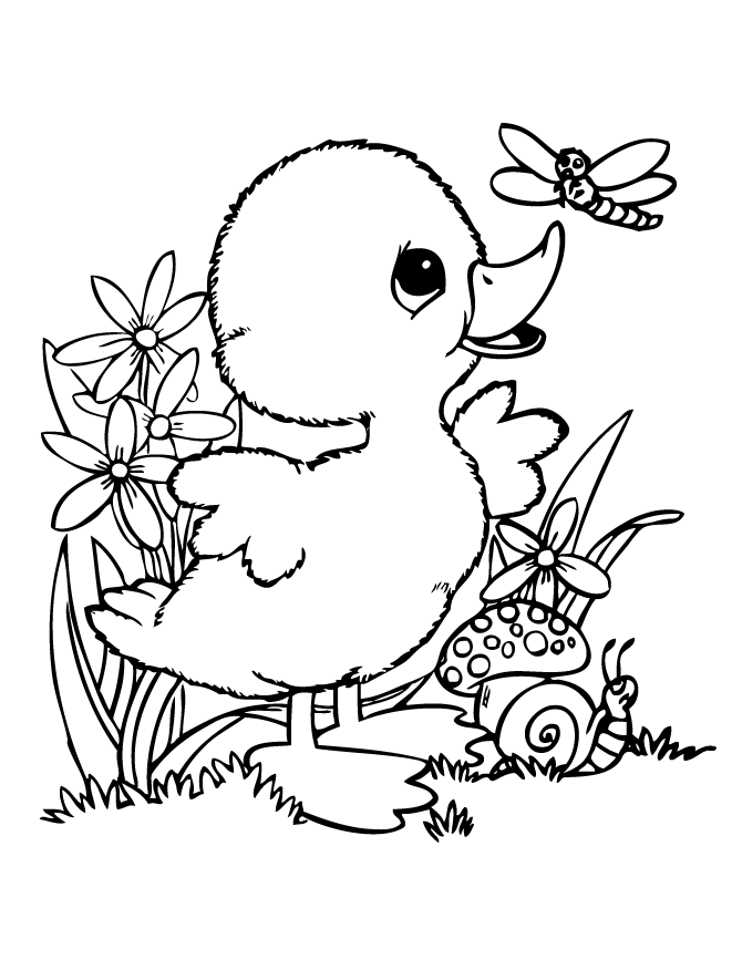 Baby Duck Coloring Pages Coloring Home