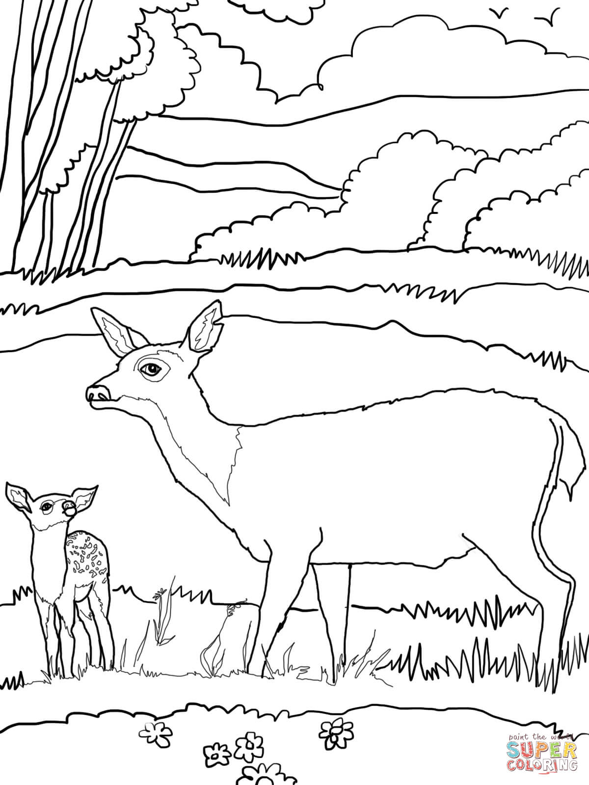 Mule Deer Coloring Page - Coloring Home