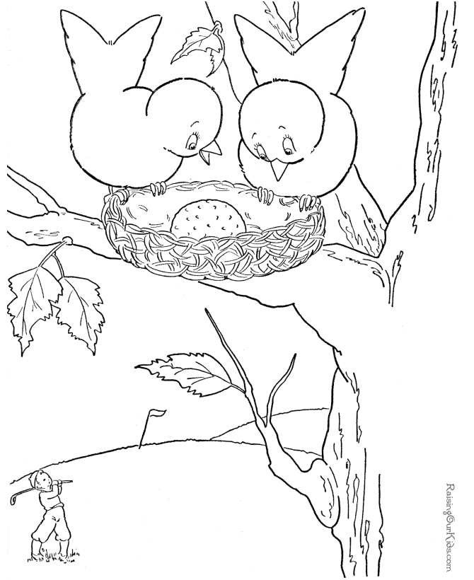 Different Birds Coloring Pages - Coloring Home