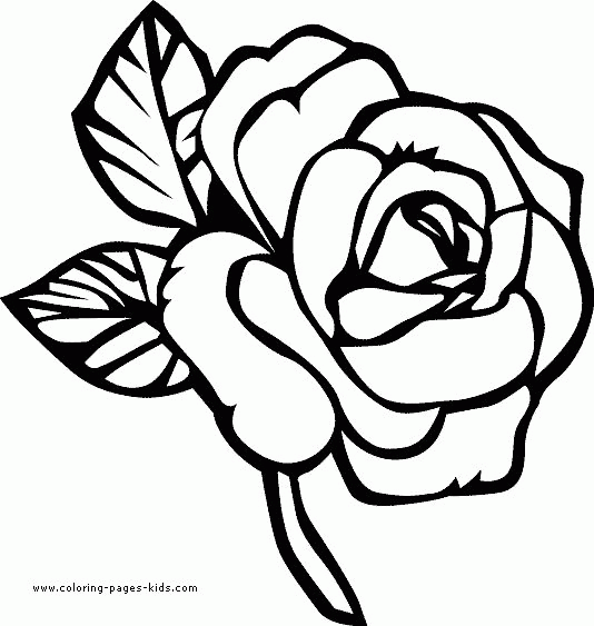 Free Printable Coloring Pages Of Spring Flowers - Coloring Page