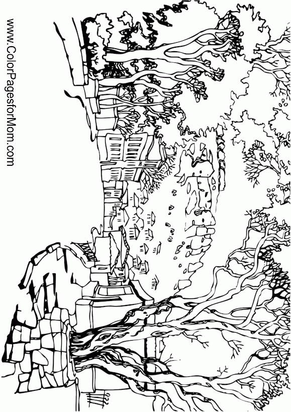 Landscape Coloring Pages For Adults Coloring Home