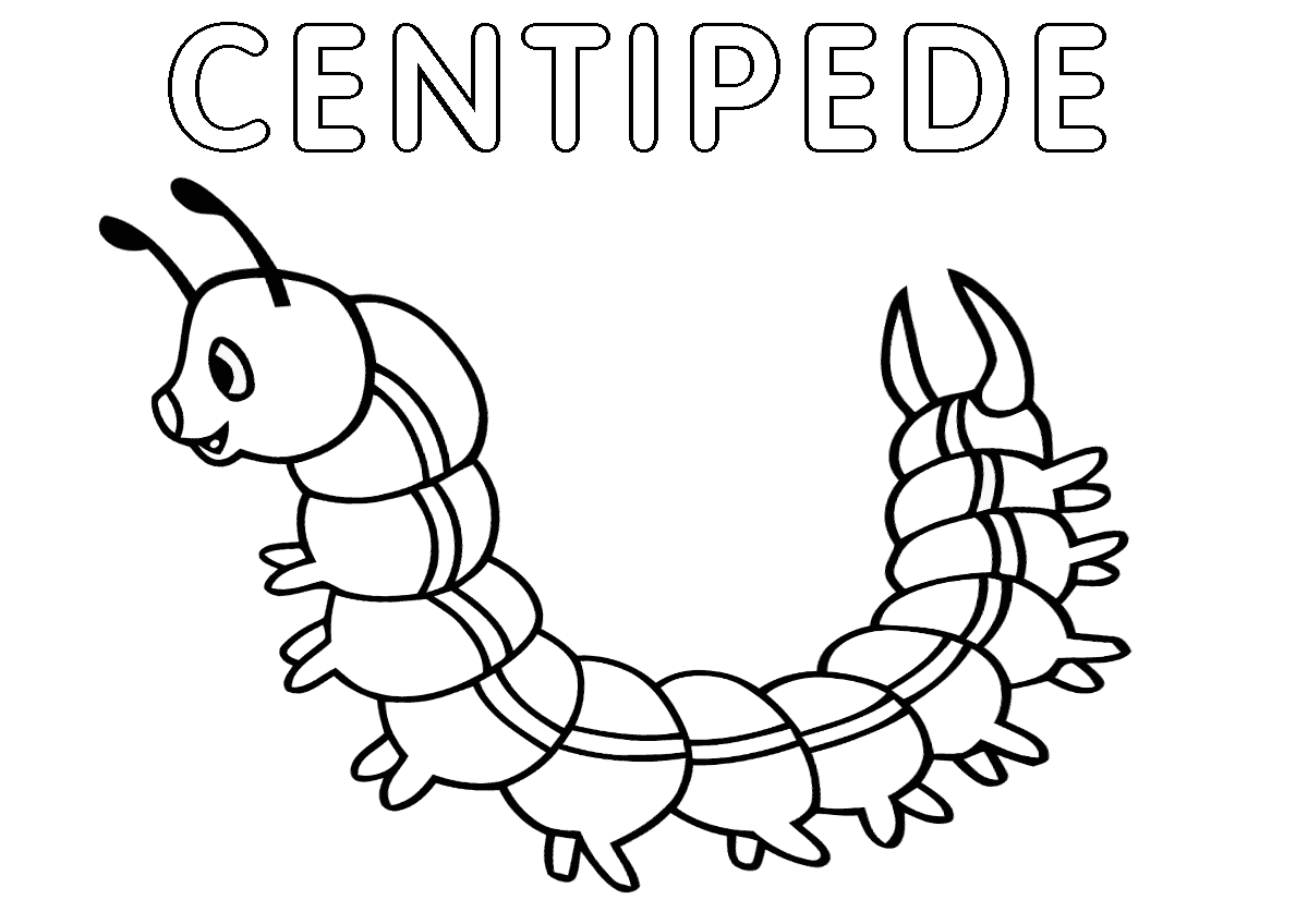 Centipede coloring pages | Coloring pages to download and print