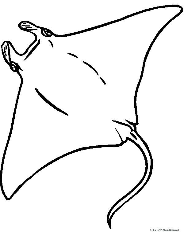 Stingray Coloring Page - Coloring Home