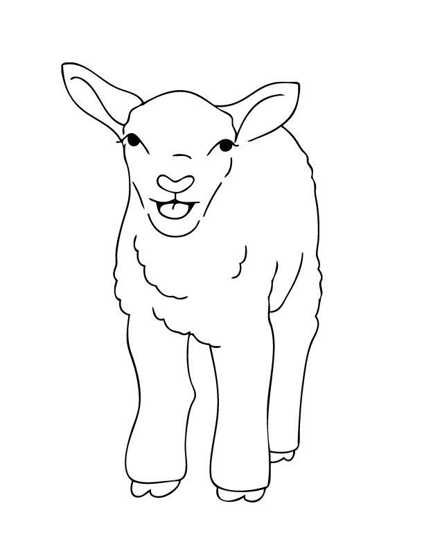 spring lamb Colouring Pages