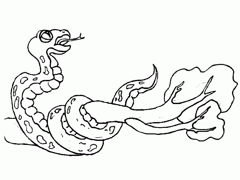 back to coloring pages snakes