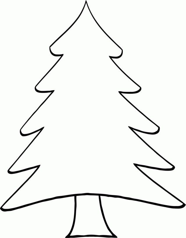 White Pine Tree Colouring Pages Id 63354 Uncategorized Yoand 