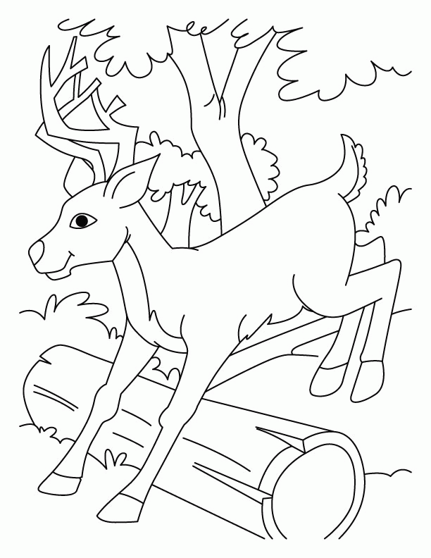 deer hunting?vm=r Colouring Pages