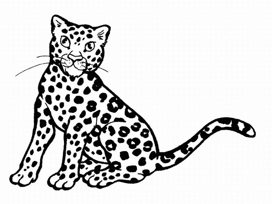 tiger in the jungle coloring page