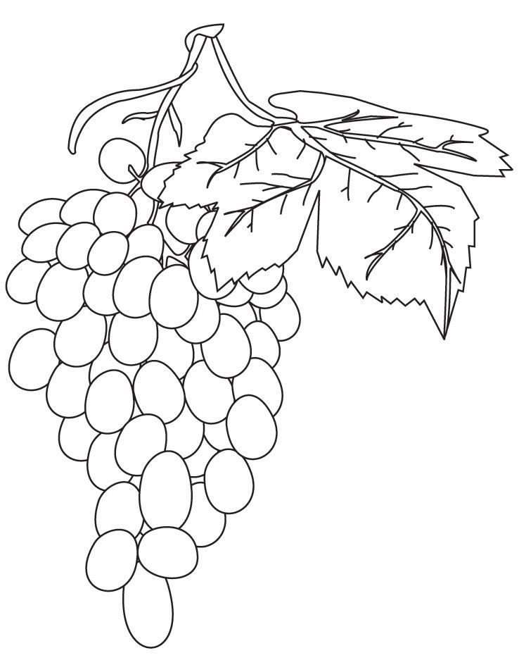Red grapes coloring pages | Download Free Red grapes coloring 