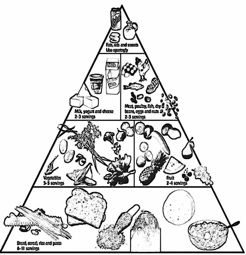 The Food Guide Pyramid Coloring Pages - Food Coloring Pages 