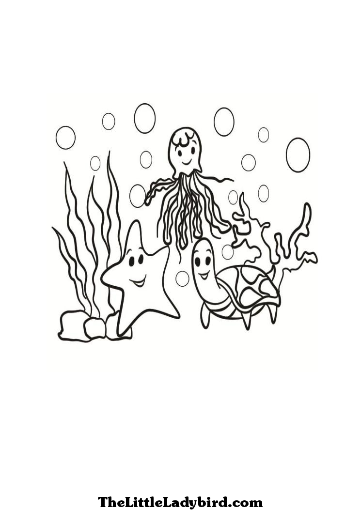 Coloring Page of Sea Animals Underwater: Sea Turtle, Starfish and 