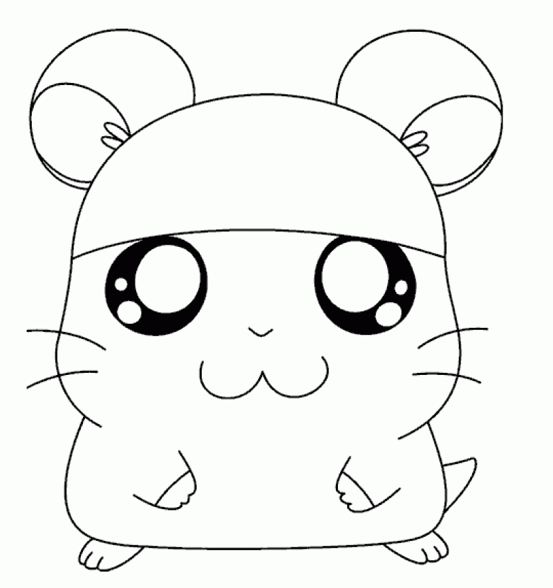 Cute Hamster Coloring Pages Hd Printable