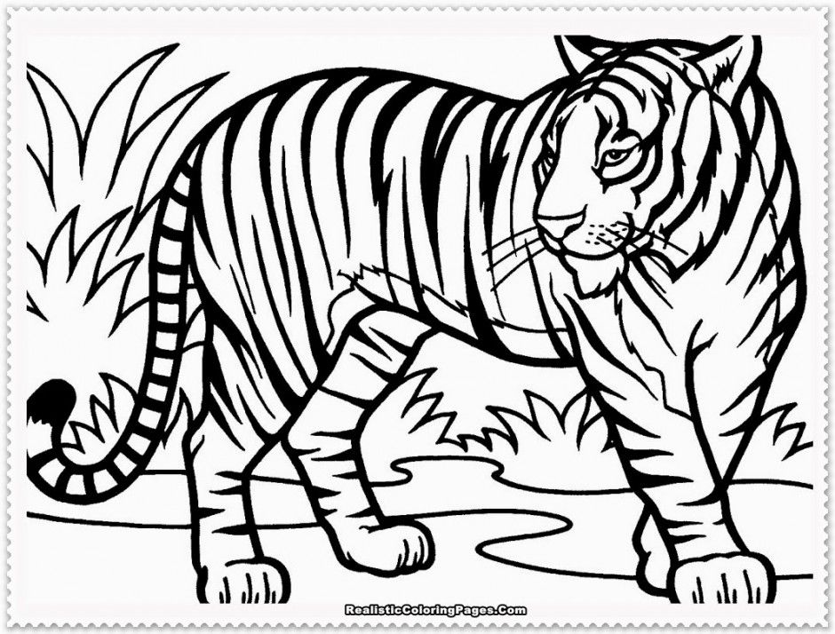 Coloring Pages Of Tigers Kids Free Tiger Animal Coloring Page Jpg 