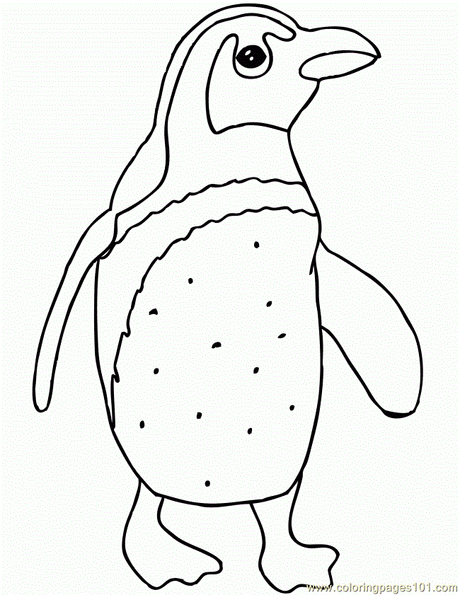 Free Printable Coloring Page Cute Little Penguin 650x841 Animals 