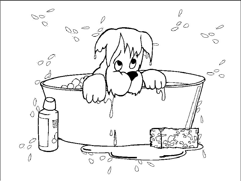 yorkie coloring pages - group picture, image by tag - keywordpictures.