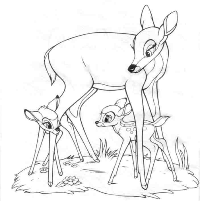 Disney Cartoons Bambi and Kids Coloring Pictures 2010