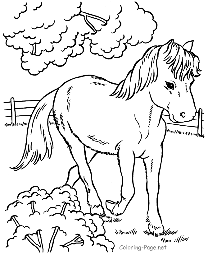Horse Coloring Pages - Horse in pen
