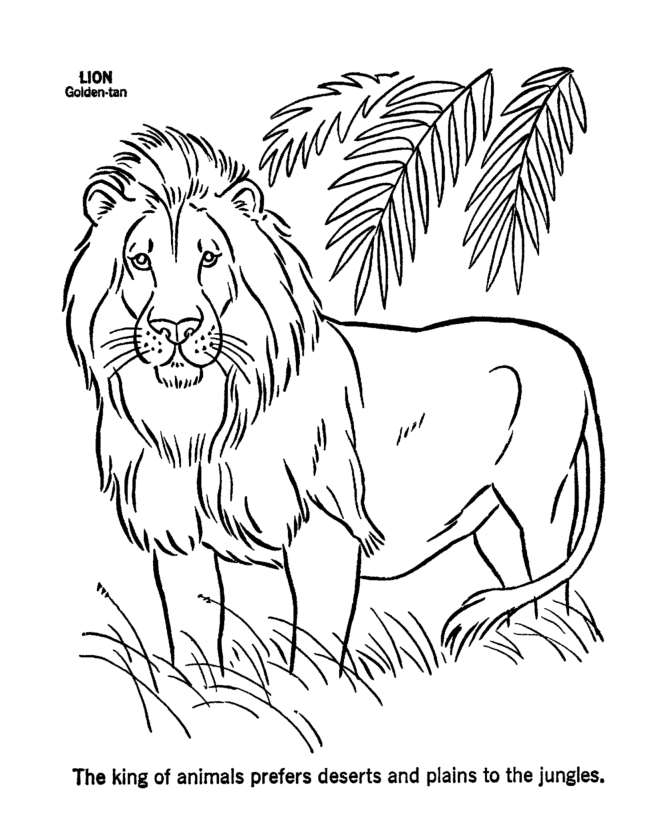 Coloring Pages Lions - Coloring Home