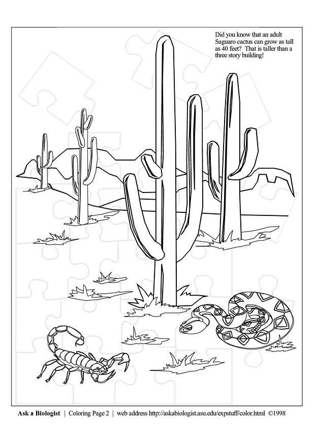 Desert Coloring Pages 27 | Free Printable Coloring Pages
