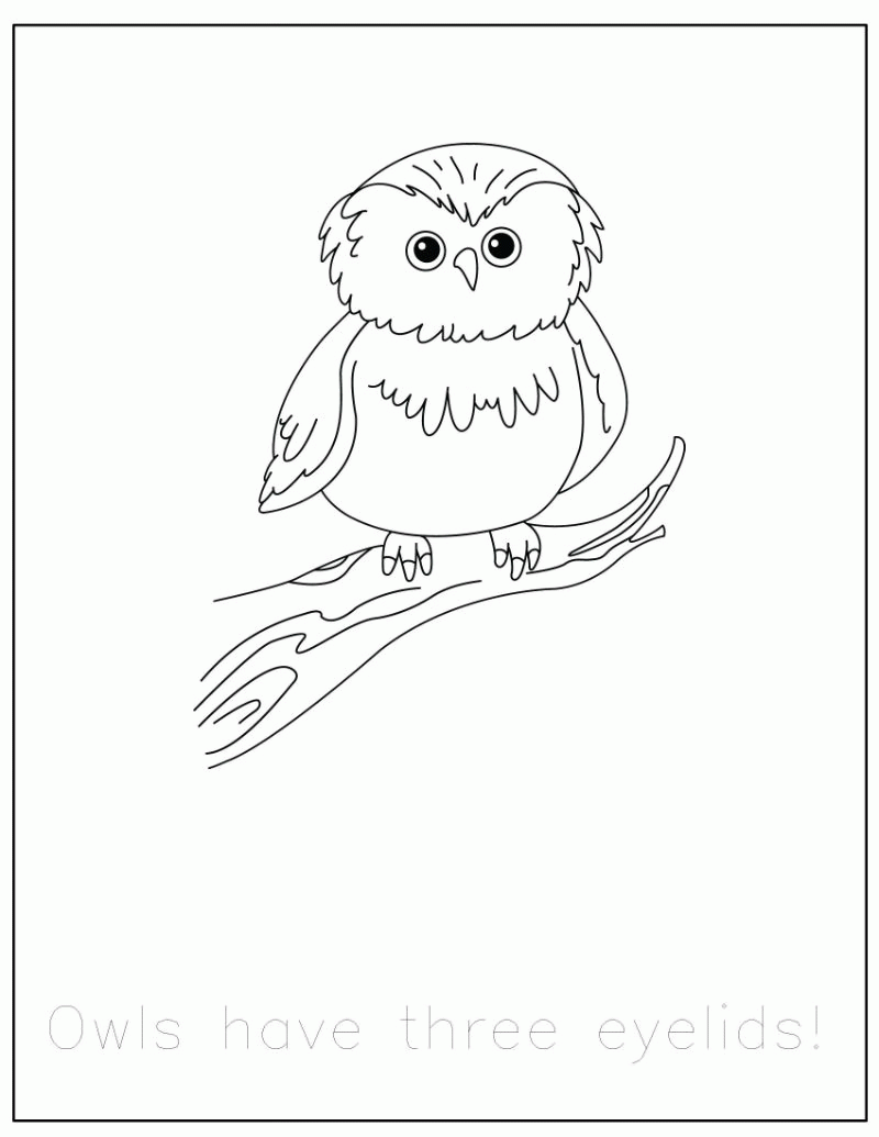 FREE} Forest Animals Coloring Pages with Traceable Fun Facts ...