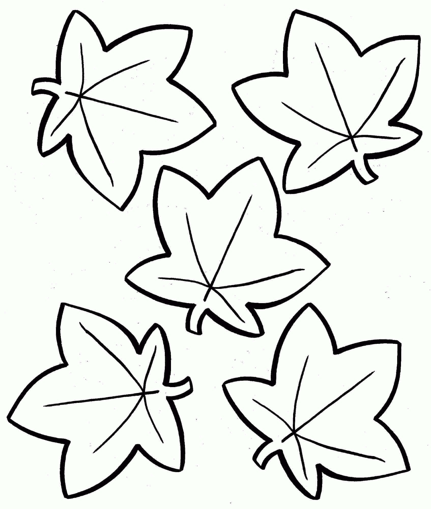 Autumn Leaf Coloring Page Coloring Home