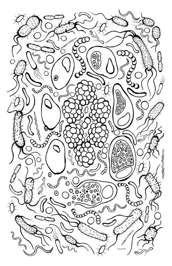 All Ages Coloring Art Print Bacteria Design 11x17 Poster Art | Etsy