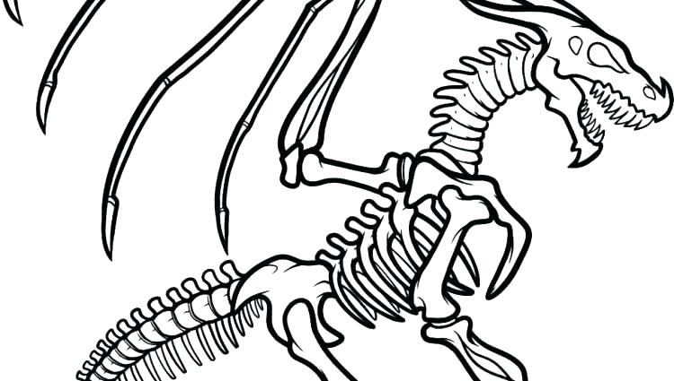 Skeleton Coloring Pages For Preschoolers at GetDrawings.com ...