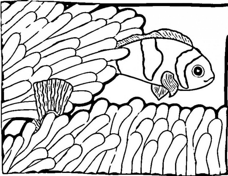 Clown Fish Coloring Pages Free Coloring Pages 237902 Clown Fish 