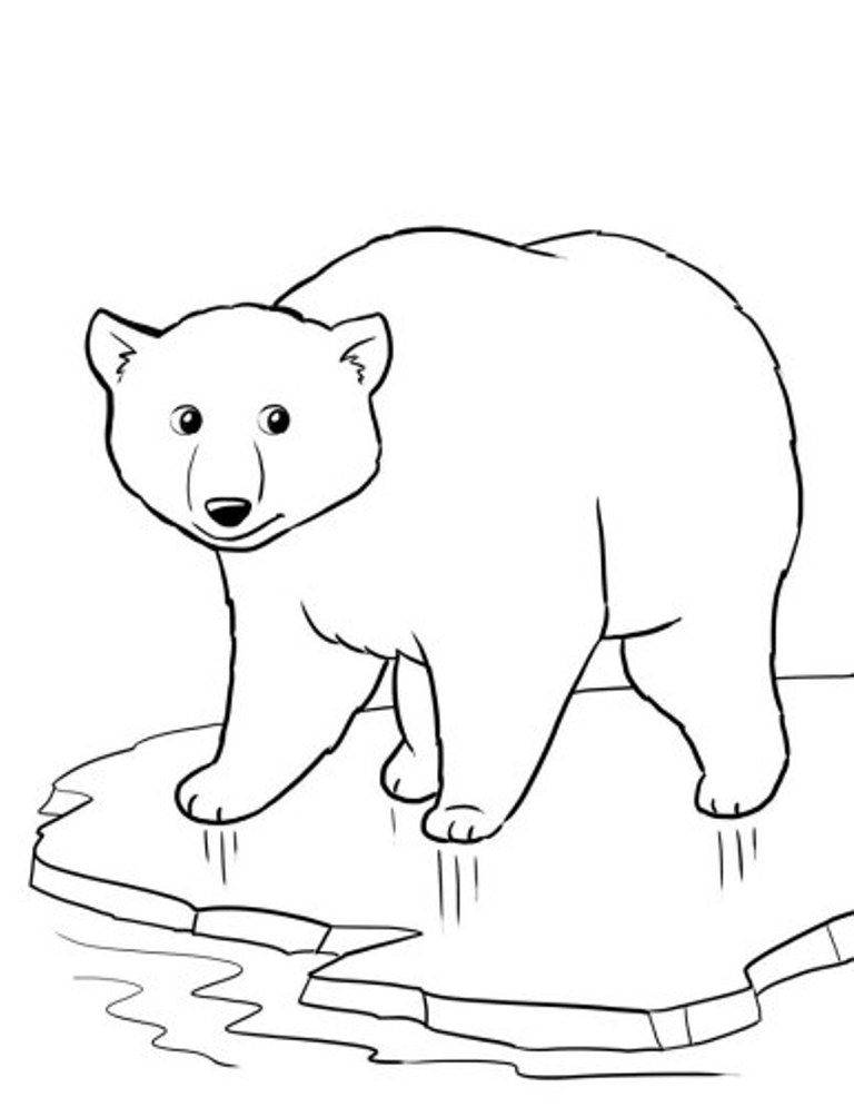 Download Coloring Pages Winter Polar Bear Or Print Coloring Pages 