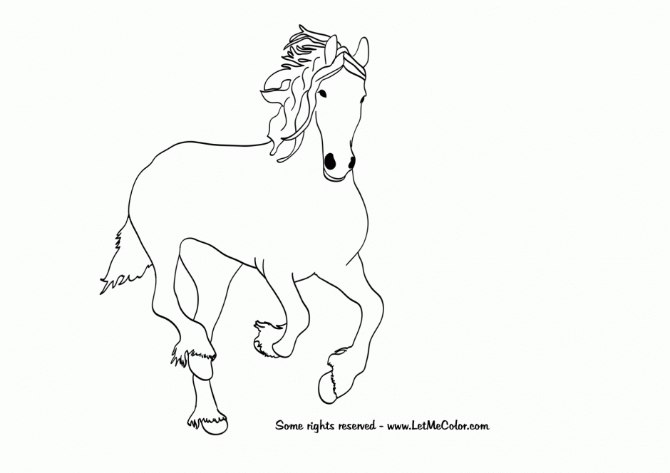Realistic Foal Coloring Pages 10 Free Colouring Pages 228273 Foal 
