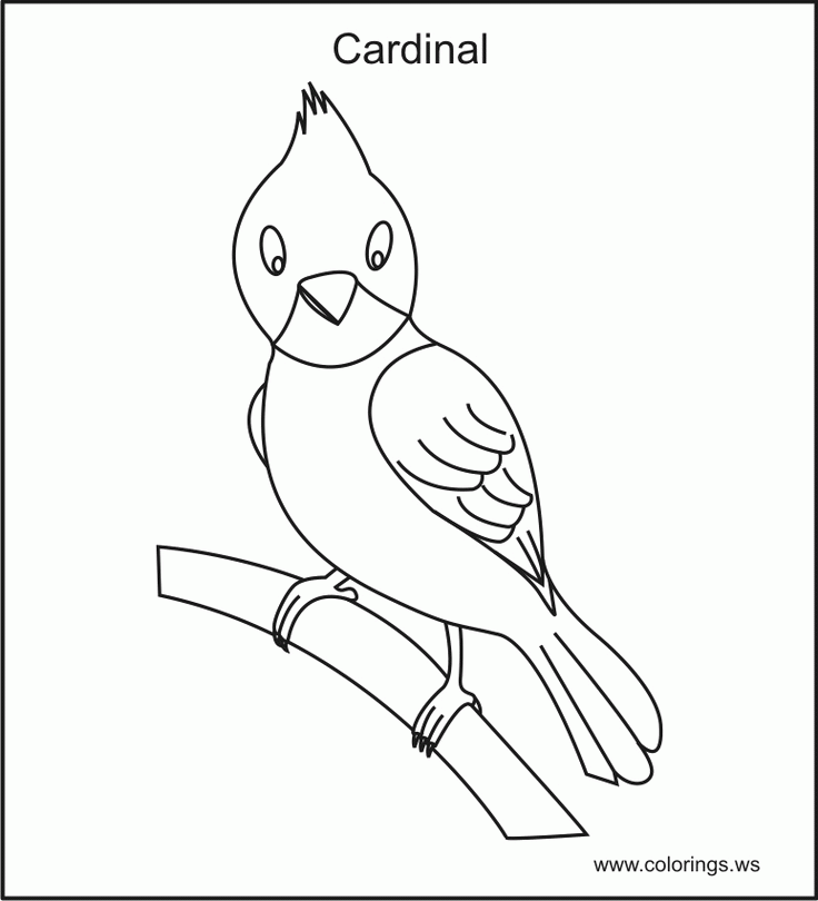 Cardinal Bird Coloring Pages