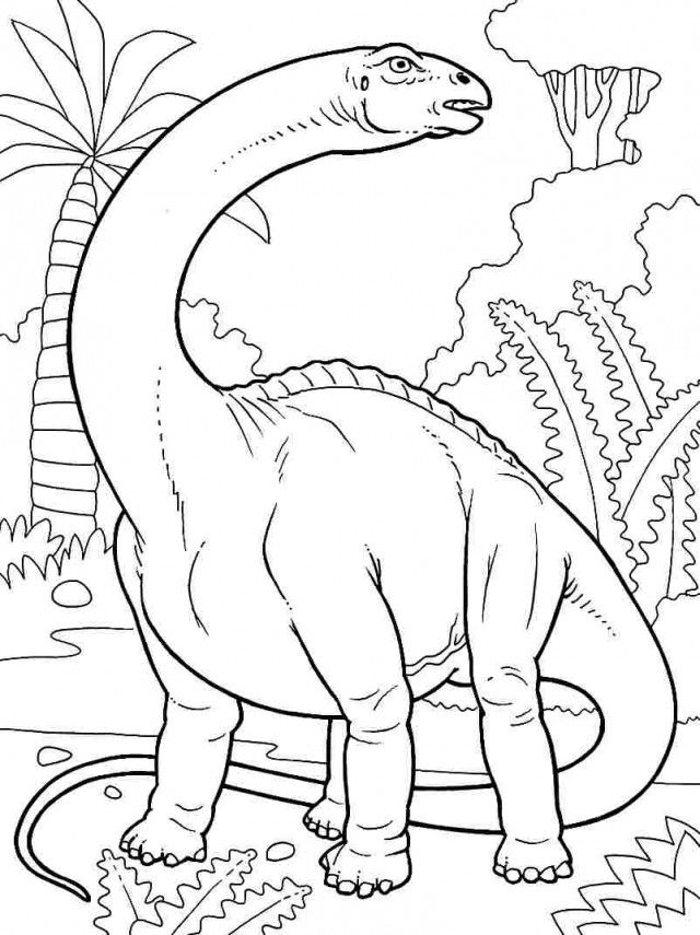 coloring brontosaurus dinosaur printable colouring dinosaurs sheets animal popular happy library getdrawings