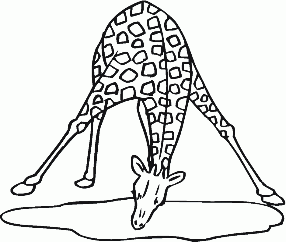 Free Giraffe Coloring Pages 3008 Coloring Page Giraffe