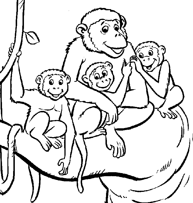 Baby Monkey Coloring Pages - Coloring Home